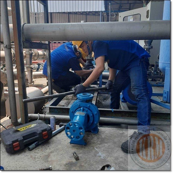 ซ่อมมอเตอร์เครื่องสูบน้ำเย็น - บริษัท กรุงเทพเกียร์ รุ่งเรืองแมคคานิค จำกัด - ซ่อมมอเตอร์เครื่องสูบน้ำเย็น  ซ่อมปั๊มน้ำ Self Priming ดูดน้ำเสีย ตะกอน  ซ่อมมอเตอร์ปั๊มดูดน้ำเสีย  ซ่อมมอเตอร์ปั๊มน้ำเสีย waste 