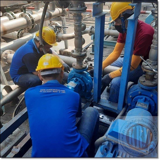 ซ่อมมอเตอร์เครื่องสูบน้ำเย็น - บริษัท กรุงเทพเกียร์ รุ่งเรืองแมคคานิค จำกัด - ซ่อมมอเตอร์เครื่องสูบน้ำเย็น  ซ่อมปั๊มน้ำ Self Priming ดูดน้ำเสีย ตะกอน  ซ่อมมอเตอร์ปั๊มดูดน้ำเสีย  ซ่อมมอเตอร์ปั๊มน้ำเสีย waste 