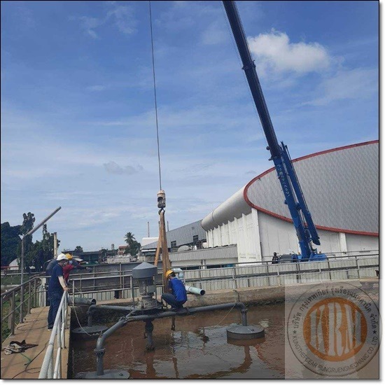 ซ่อมมอเตอร์บ่อบำบัดน้ำเสีย - บริษัท กรุงเทพเกียร์ รุ่งเรืองแมคคานิค จำกัด - ซ่อมมอเตอร์บ่อบำบัดน้ำเสีย  รับซ่อมปั้มบำบัดน้ำเสีย 