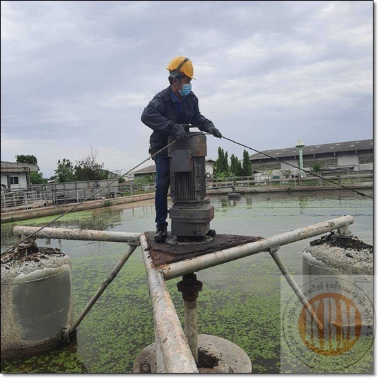 ซ่อมมอเตอร์บ่อบำบัดน้ำเสีย - บริษัท กรุงเทพเกียร์ รุ่งเรืองแมคคานิค จำกัด - ซ่อมมอเตอร์บ่อบำบัดน้ำเสีย  รับซ่อมปั้มบำบัดน้ำเสีย 