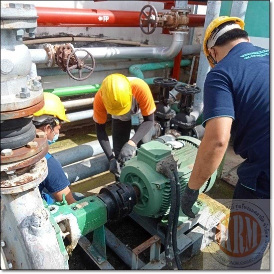 รับซ่อมมอเตอร์ สมุทรสาคร - บริษัท กรุงเทพเกียร์ รุ่งเรืองแมคคานิค จำกัด - รับซ่อมมอเตอร์ สมุทรสาคร   รับซ่อมปั๊มอุตสาหกรรม 